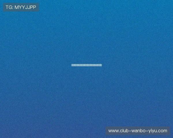 法国世界杯精彩回顾与赛事背后的故事全面解析